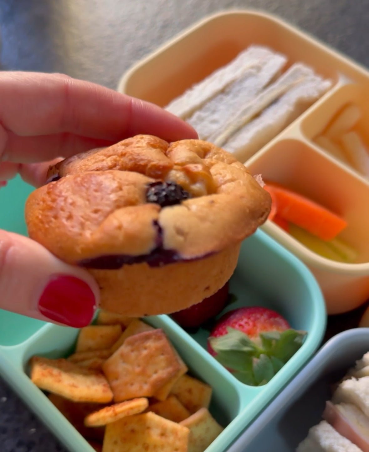 5 minute blueberry muffins – BIBO