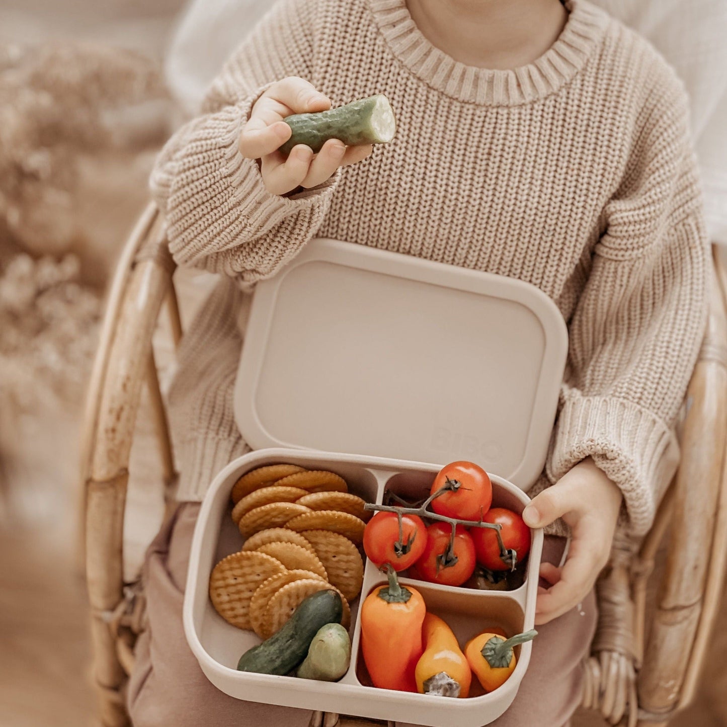 Silicone 3 Bento Lunchbox