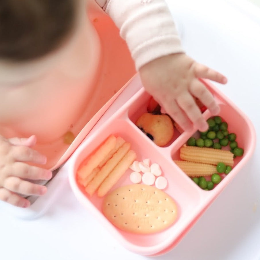Silicone 3 Bento Powder Pink
