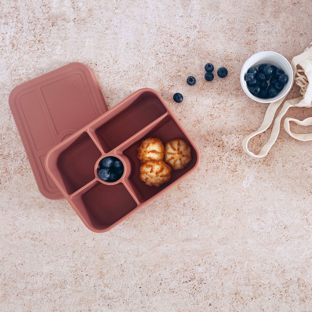 Silicone 5 Bento Lunchbox