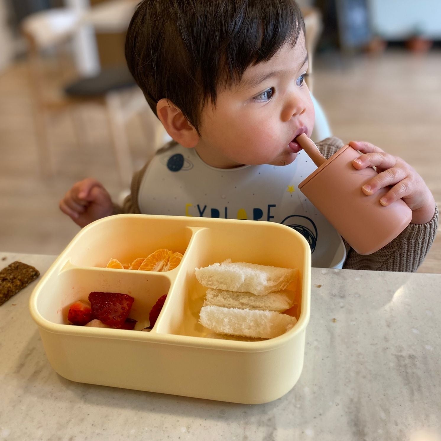 Silicone 3 Bento Lunchbox - BIBO